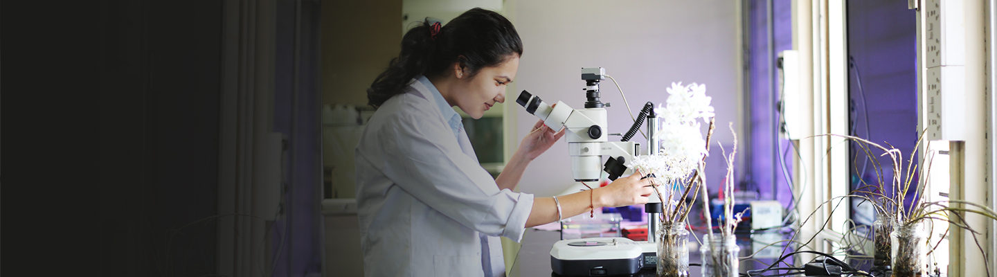 bsc-biotechnology-course-eligibility-fees-admission-2024-msls